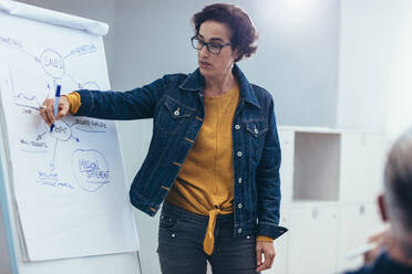 Woman giving presentation over flipchart to team. Female programmer explaining new project to coworkers in office. - JLPSF13076