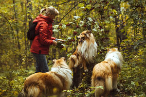 Frau mit Colliehunden an einem Baum im Wald stehend - IEF00200