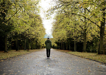 Ältere Frau mit Regenschirm geht auf der Straße inmitten von Herbstbäumen - FLLF00802