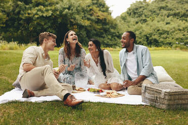 Eine Gruppe von Freunden macht ein Picknick im Park. Fröhliche junge Leute sitzen im Garten und unterhalten sich mit Sektgläsern in der Hand und lächeln. - JLPSF14058