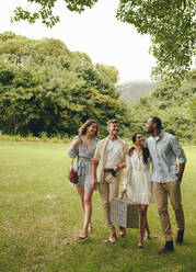 Junge Leute, die zusammen im Park spazieren gehen. Lächelnde Männer und Frauen, die im Park einen Picknickkorb tragen. - JLPSF14139