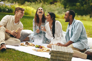 Freunde verbringen das Wochenende im Park und haben Spaß. Multi-ethnische Menschen genießen ein Picknick im Park. - JLPSF14150