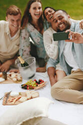 Group of friends having fun together and taking selfie. Young men and women on picnic taking self portrait of with a mobile phone. - JLPSF14184