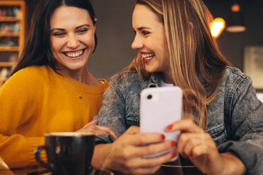 Schöne Freundinnen sitzen zusammen und schauen auf ein Handy. Glückliche junge Frauen treffen sich in einem Café. - JLPSF14375