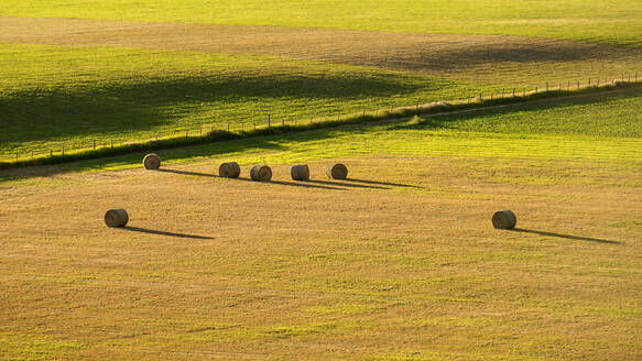 Ein Feld mit runden Heuballen, kurzem, trockenem Gras und einem Zaun. - MINF16579