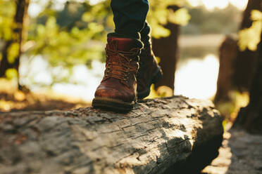 Close up of legs of a person walking on a log on wood in a forest. Cropped shot of a person wearing leather boots walking on a dead tree trunk. - JLPSF15564