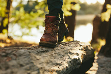 Nahaufnahme der Beine einer Person, die auf einem Holzstamm in einem Wald läuft. Ausschnitt einer Person in Lederstiefeln, die auf einem toten Baumstamm läuft. - JLPSF15564