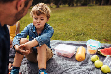 Father consoling his son at picnic in park. Little boy looking upset sitting on picnic blanket with food lying by, listening to his father. - JLPSF15917