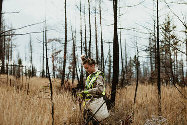 Weibliche Freiwillige pflanzt Bäume im Wald. Eine Frau, die Bäume pflanzt, trägt eine reflektierende Weste und geht mit einer Tasche voller Bäume und einer Schaufel durch den Wald. - JLPSF17412