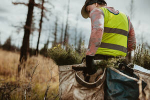 Man planting trees in forest. Male tree planter wearing reflective vest walking in forest carrying bag full of trees. - JLPSF17427