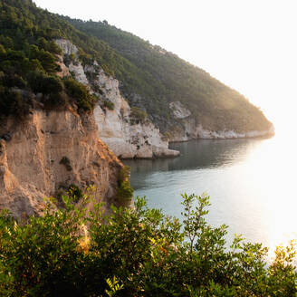 Italien, Apulien, Gargano, Baia Delle Zagare, Felsen an der Adriaküste - TETF01848