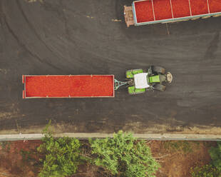 Aerial view of a tomato factory, Pozzolo, Farmigaro, Italy. - AAEF16083