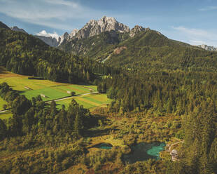 Luftaufnahme des Bergsees Zelenci, Slowenien. - AAEF16180