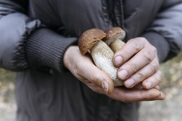 Hands of senior woman holding porcini mushrooms - EYAF02259