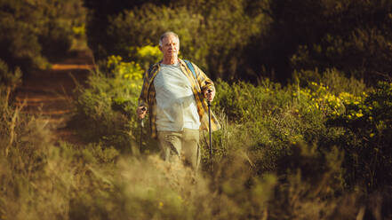 Mann wandert auf einem Wanderweg mit Trekkingstöcken. Älterer Mann mit Rucksack auf einem Wanderabenteuer. - JLPSF18639