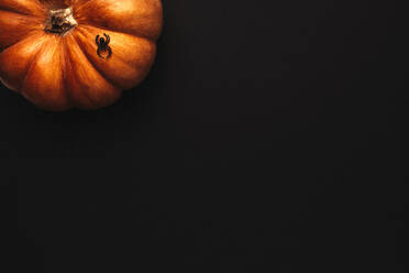 Kürbis und eine Spinne mit viel Kopierraum auf schwarzem Hintergrund. Flat Lay Konzept von Halloween-Thema auf schwarzem Hintergrund. - JLPSF18748