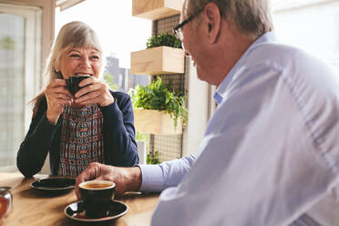 Älteres Ehepaar sitzt am Tisch und trinkt Kaffee im Café. Glückliches älteres Ehepaar unterhält sich und genießt eine Tasse Kaffee im Café. - JLPSF18844