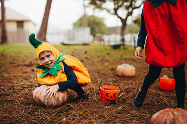 Glückliches kleines Mädchen im Halloween-Kostüm versucht, einen großen Kürbis vom Boden zu pflücken. Kleine Kinder haben Spaß an Halloween. - JLPSF19029