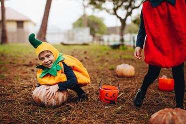 Happy little girl in halloween costume trying to pick a big pumpkin from ground. Little children having fun on halloween. - JLPSF19029
