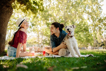 Junger Mann streichelt einen Hund mit einer Frau, die im Stadtpark sitzt. Paar hat Spaß beim Picknick. - JLPSF19235