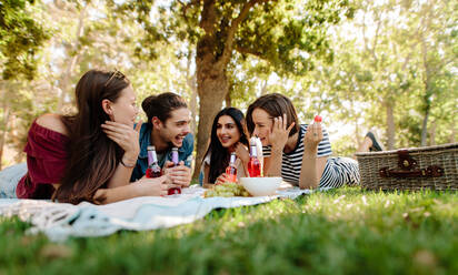 Eine Gruppe von Freunden hat Spaß beim Picknick mit Bier an einem warmen Tag. Ein lächelnder Mann und eine Frau genießen ein Picknick im Park. - JLPSF19243