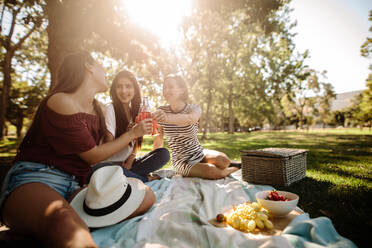 Gruppe von glücklichen Freundinnen, die sich mit Bier im Park amüsieren. Freunde haben Spaß zusammen und trinken Bier beim Picknick. - JLPSF19244