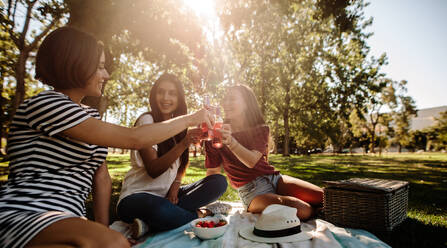 Eine Gruppe junger Freundinnen stößt mit Bierflaschen an und amüsiert sich draußen in einem Park. - JLPSF19245
