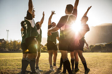 Rugby-Spieler feiern einen Sieg auf dem Sportplatz. Rugby-Team mit erhobenen Händen und Geschrei nach dem Sieg. - JLPSF19309