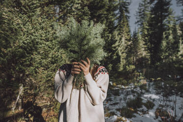 Woman covering face with spruce tree twigs in forest - VBUF00208