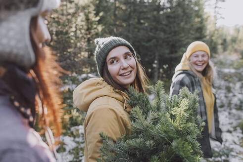 Smiling woman with spruce tree twigs looking at friend in forest - VBUF00213