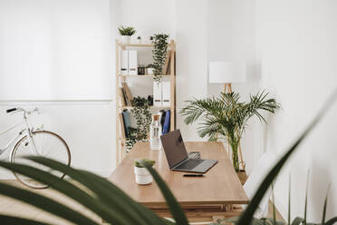 Empty modern office with laptop on desk - EBBF06826