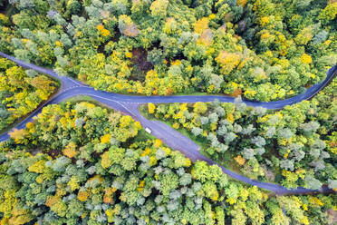 Germany, Baden-Wurttemberg, Drone view of crossroad in middle of Swabian-Franconian Forest - STSF03575