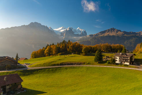 Schweiz, Kanton Bern, Hasliberg, Europäische Alpen im Herbst - TAMF03554