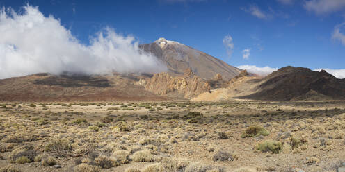 Spain, Canary Islands, Panoramic view of Mount Teide - WGF01427