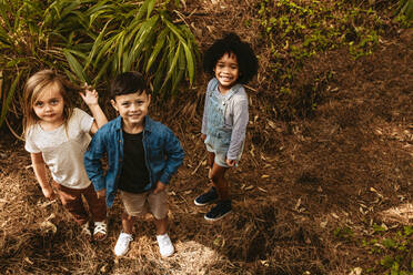 Drei Kinder stehen zusammen im Wald und schauen in die Kamera. Multiethnische Kinder spielen im Wald. - JLPSF19494