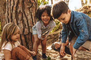 Niedliche Kinder mit Vergrößerungsglas im Freien. Kinder spielen im Wald mit Vergrößerungsglas. - JLPSF19499