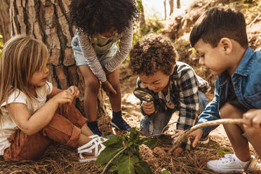Kinder im Wald, die als Forscher zusammen mit der Lupe Blätter betrachten. - JLPSF19500