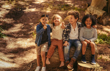 Gruppe von Jungen und Mädchen sitzen auf einem Baumstamm. Nette Kinder im Freien genießen die Natur. Kinder lächeln und zeigen Stock und Zweig. - JLPSF19521