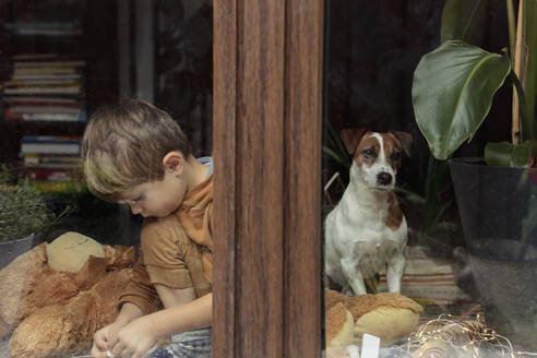 Junge, der mit seinem Hund in einem Haus sitzt, durch ein Glasfenster gesehen - VSNF00061