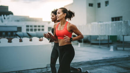 Two women athletes doing warm up on the rooftop in the morning. Fitness women training together jogging on terrace of a building. - JLPSF19899