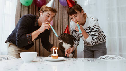 Ein Paar mit Geburtstagskappen und Pfeife feiert den Geburtstag eines Hundes. Ein Mann und eine Frau feiern den Geburtstag eines Hundes mit Kerzen auf einer Torte. - JLPSF19916