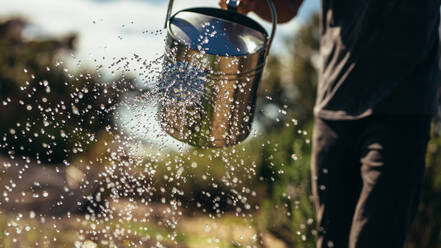 Wasser spritzt aus einer Gießkanne. Männlicher Landwirt bewässert seinen Hof. Ausschnitt eines Mannes, der Pflanzen mit einer Gießkanne bewässert. - JLPSF20034