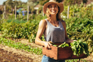 Portrait of beautiful female gardener carrying crate with freshly harvested vegetables in farm. Young female farmer working in field. - JLPSF20048