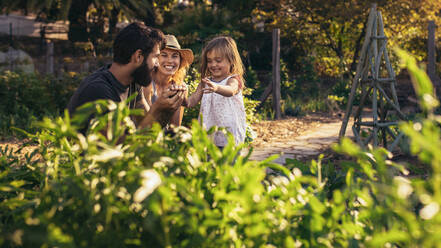 Glückliche Eltern spielen mit ihrer Tochter auf dem Bauernhof. Schöne Bauernfamilie spielt in ihrem Kleingarten. - JLPSF20084