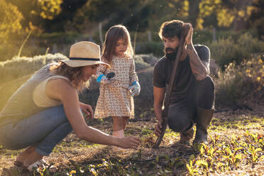 Dreiköpfige Familie bei der Arbeit auf ihrem Bauernhof: Vater, Mutter und Tochter bei der Gartenarbeit mit Werkzeugen. - JLPSF20085