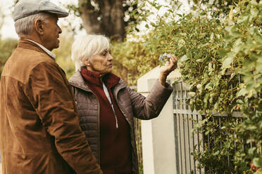 Alte Frau betrachtet Blumen auf einem Zaun, während sie mit ihrem Mann steht. Älteres Paar in warmer Kleidung betrachtet Blumen auf einer Pflanze. - JLPSF20101