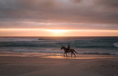 Junge Frau reitet auf einem Pferd am Strand bei Sonnenuntergang. Frau reitet am Abend entlang des Meeresufers. - JLPSF20504