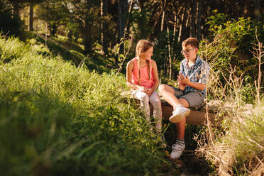 Junge und Mädchen sitzen auf einer Holzbrücke in einem Park und unterhalten sich. Kinder, die sich an einem sonnigen Tag in einem Park unterhalten. - JLPSF20822