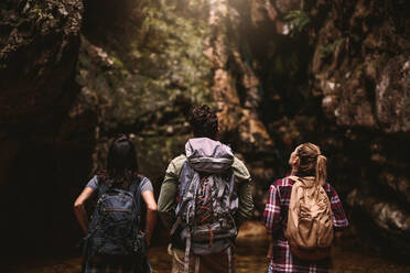 Rückansicht von drei jungen Freunden mit Rucksack, die auf einen Berg blicken. Gruppe junger Leute, die in der Natur wandern und eine Aussicht genießen. - JLPSF22661