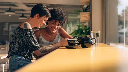 Young woman engrossed in using a mobile phone in restaurant. Female friends looking at smart phone and laughing - JLPSF23115